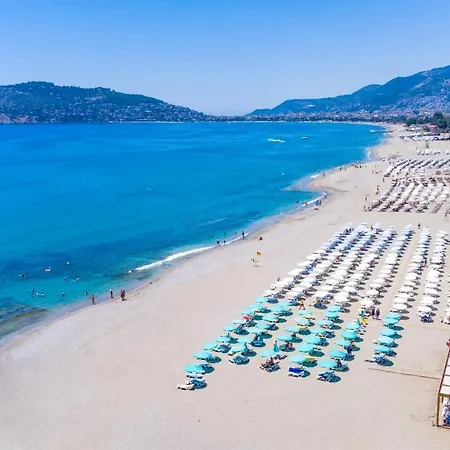 Oba Star Hotel 4*